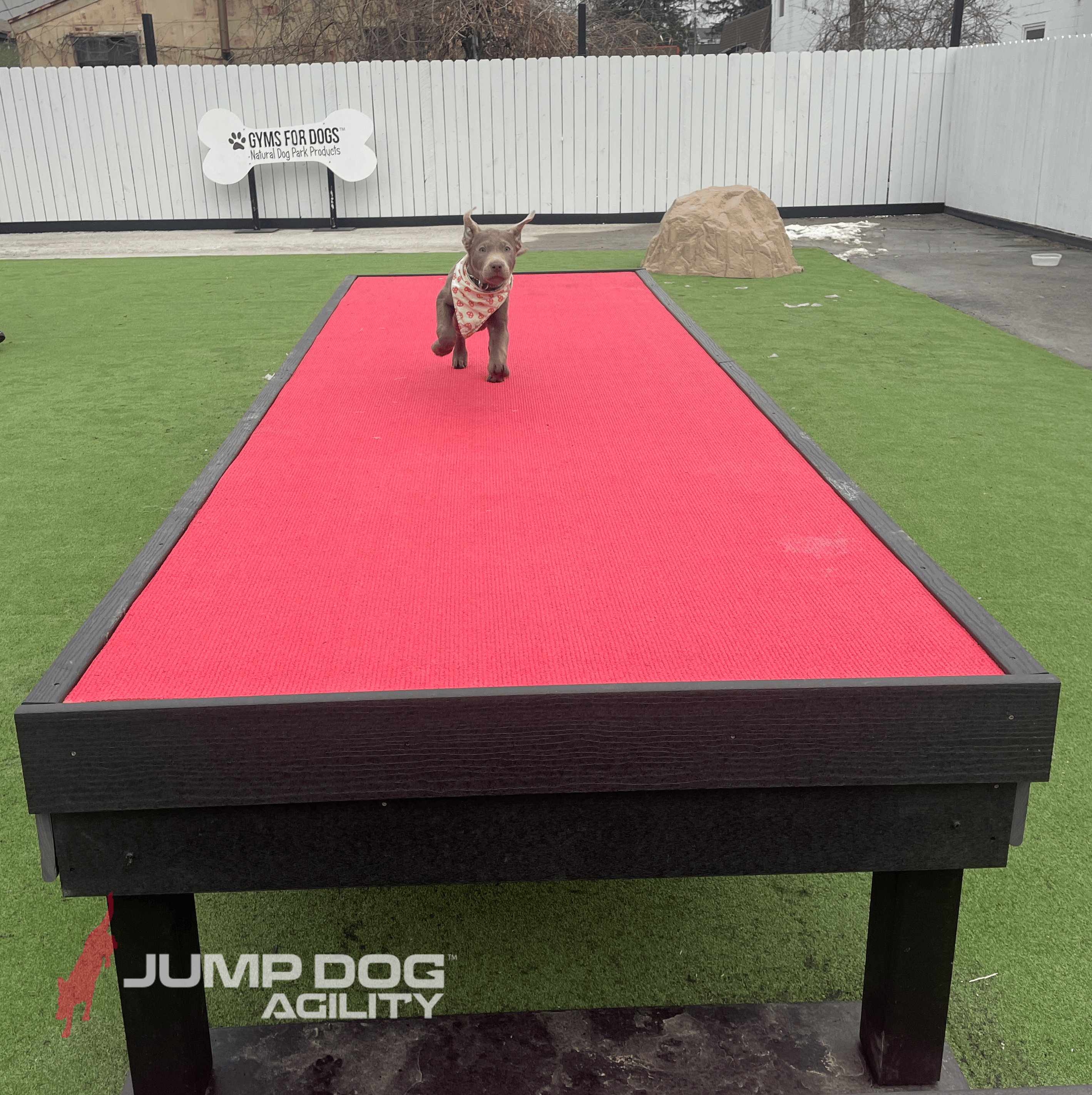 Jump Dog™ Wrestle & Rumble Play Mats