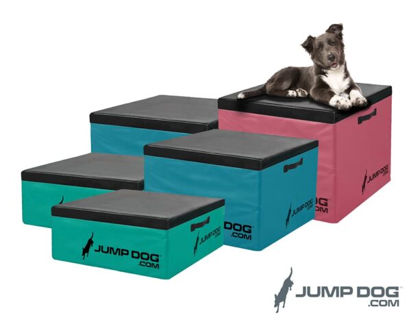 Jump Dog | Dog Sports Training | Dog Performance Equipment