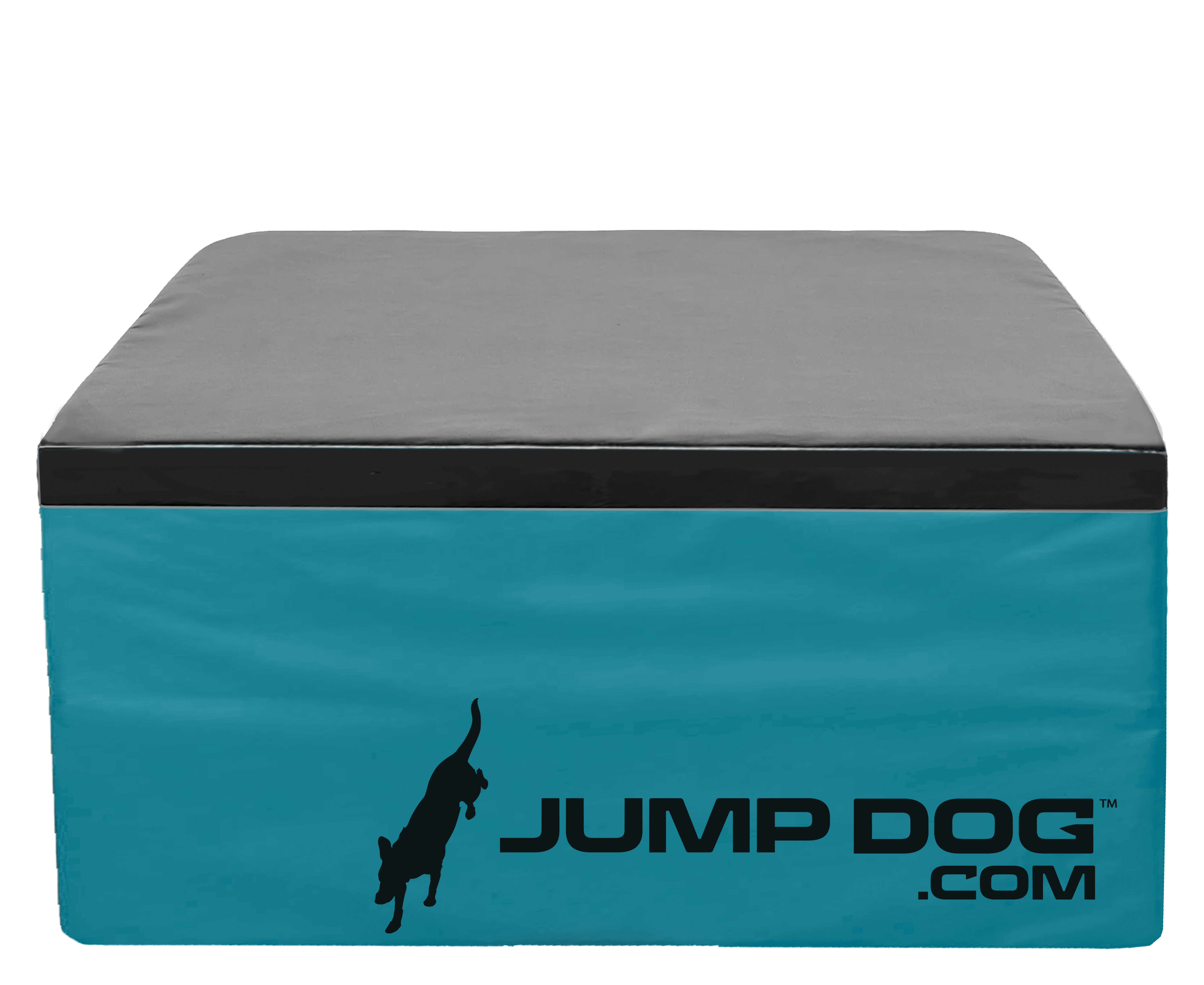 bounce. GFD_foam_plyo_boxes_blue - Jump Dog