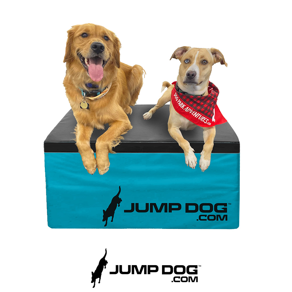 Jump Dog - Jump Training Agility Box Set - Image 51