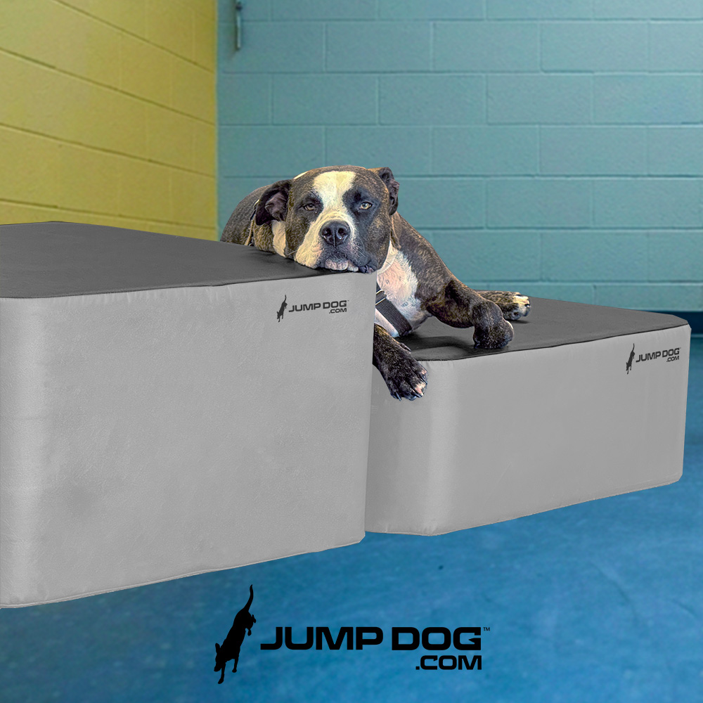 Jump Dog - Jump Training Agility Box - 18" H - Image 18
