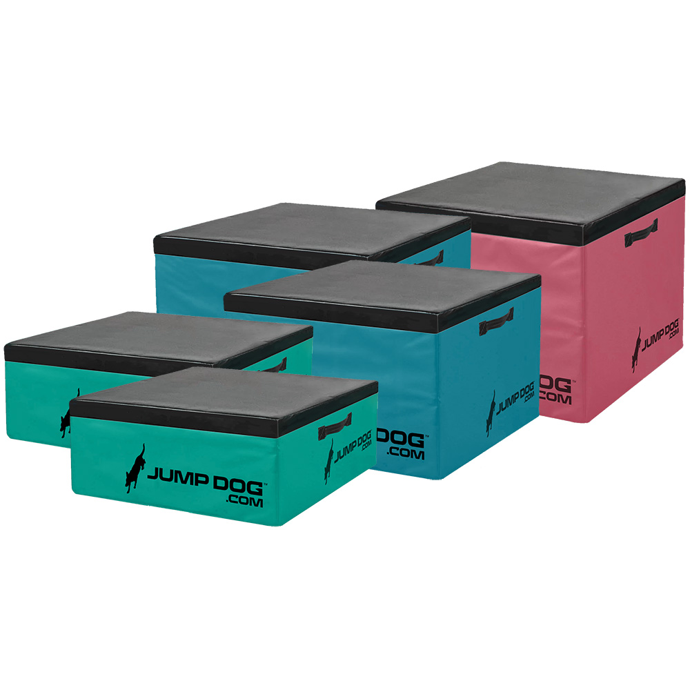 Jump Dog - Jump Training Agility Box Set - Image 49