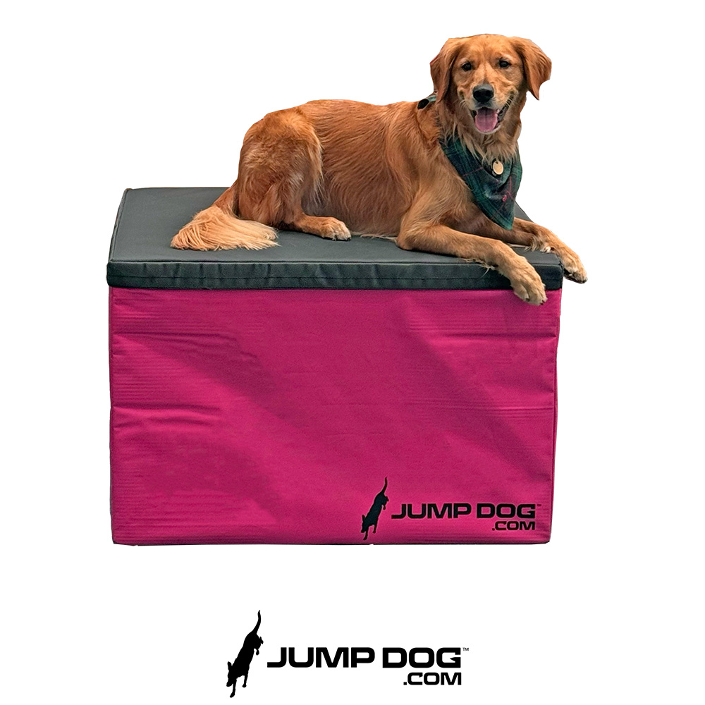 Jump Dog - Jump Training Agility Box Set - Image 48