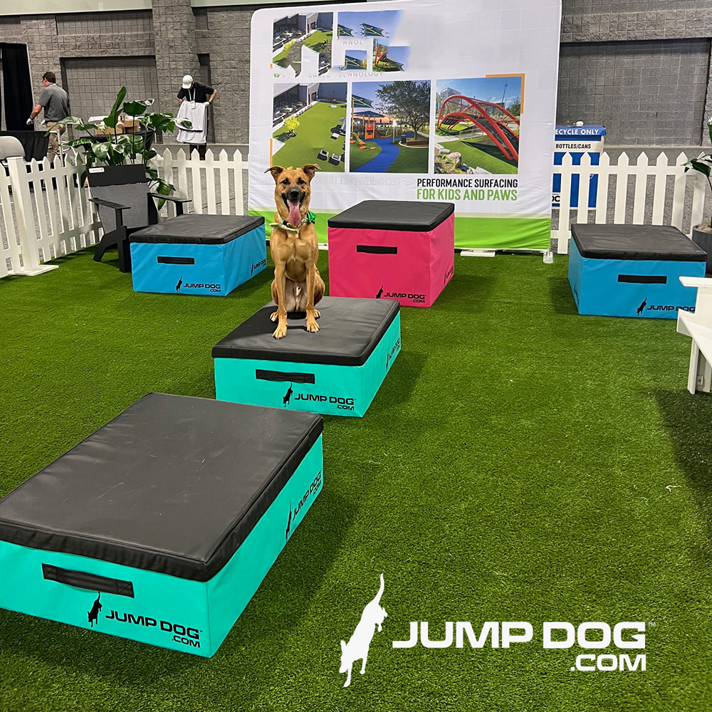 Jump Dog - Jump Training Agility Box Set - Image 43