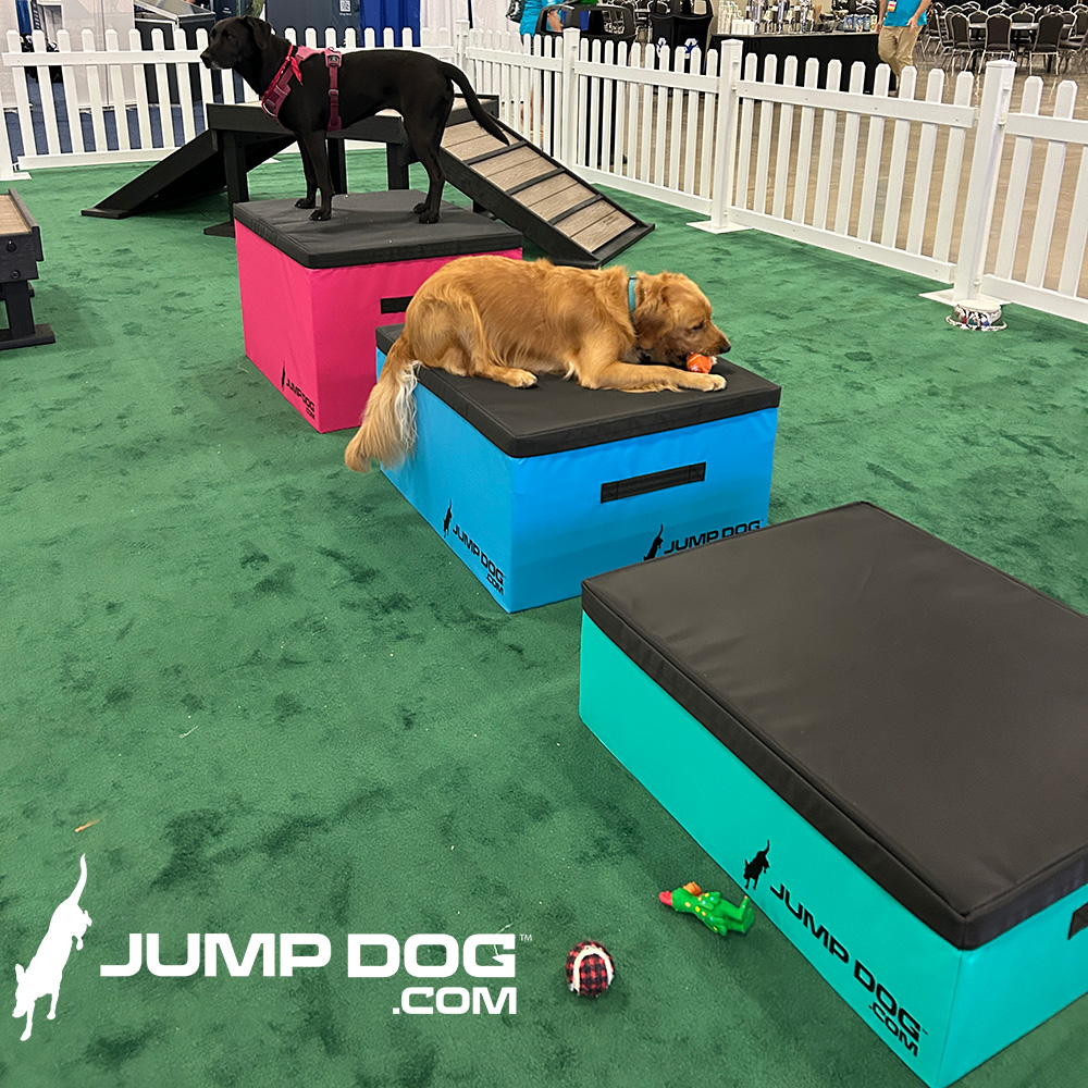 Jump Dog - Jump Training Agility Box Set - Image 38