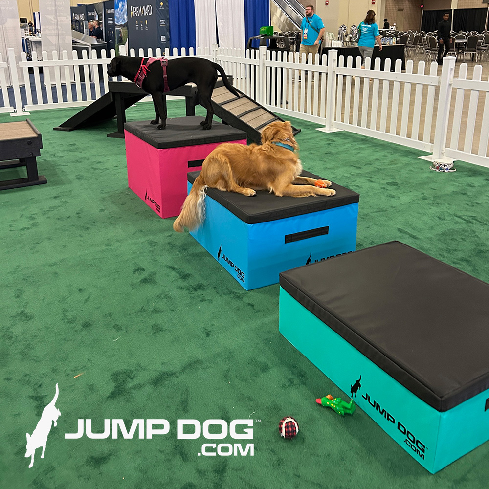 Jump Dog - Jump Training Agility Box Set - Image 37