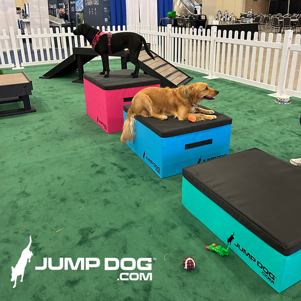 Jump Dog - Jump Training Agility Box Set - Image 36
