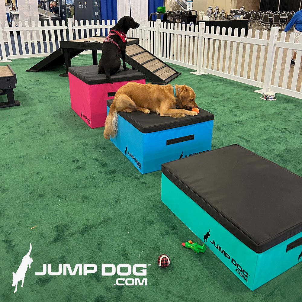 Jump Dog - Jump Training Agility Box Set - Image 35