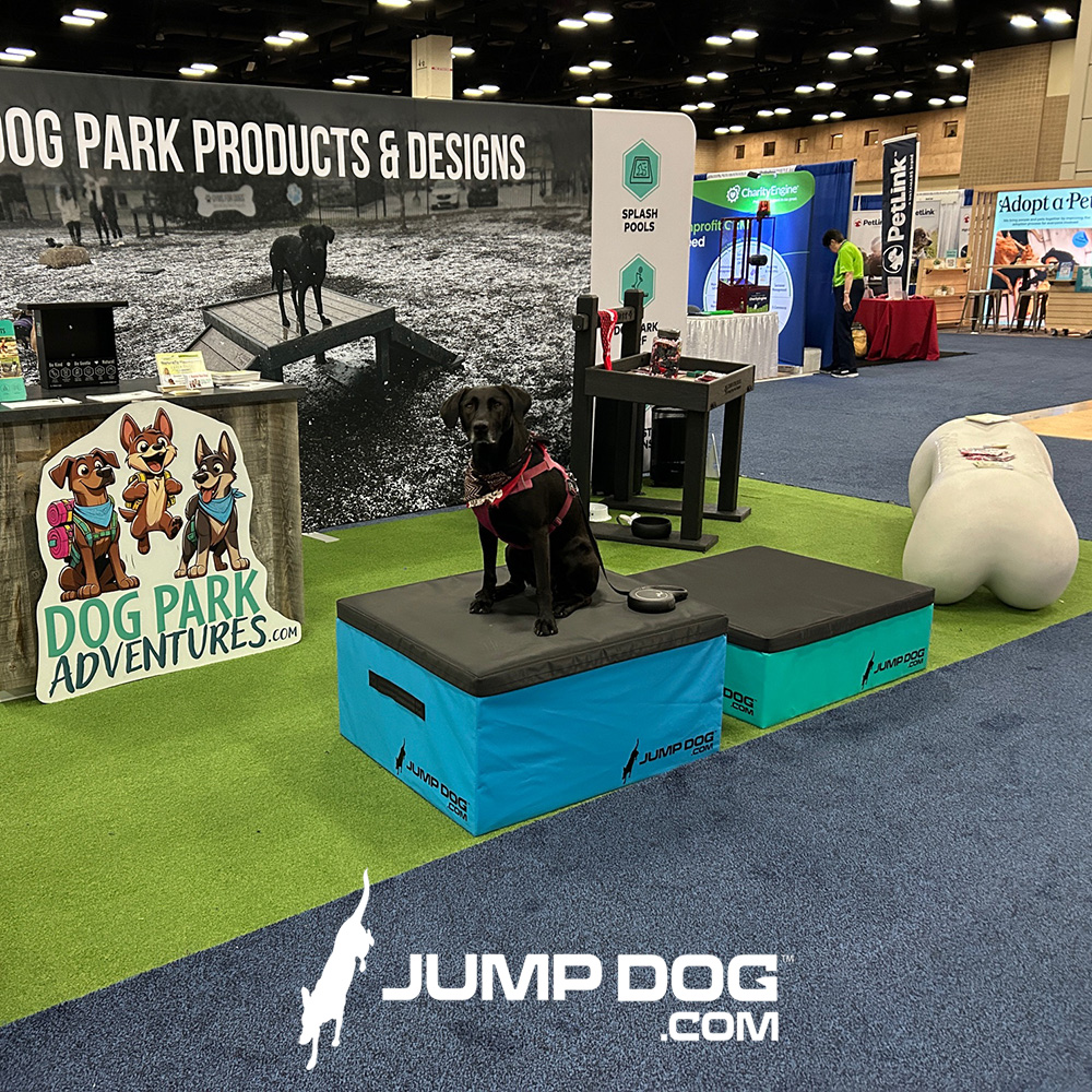Jump Dog - Jump Training Agility Box Set - Image 34