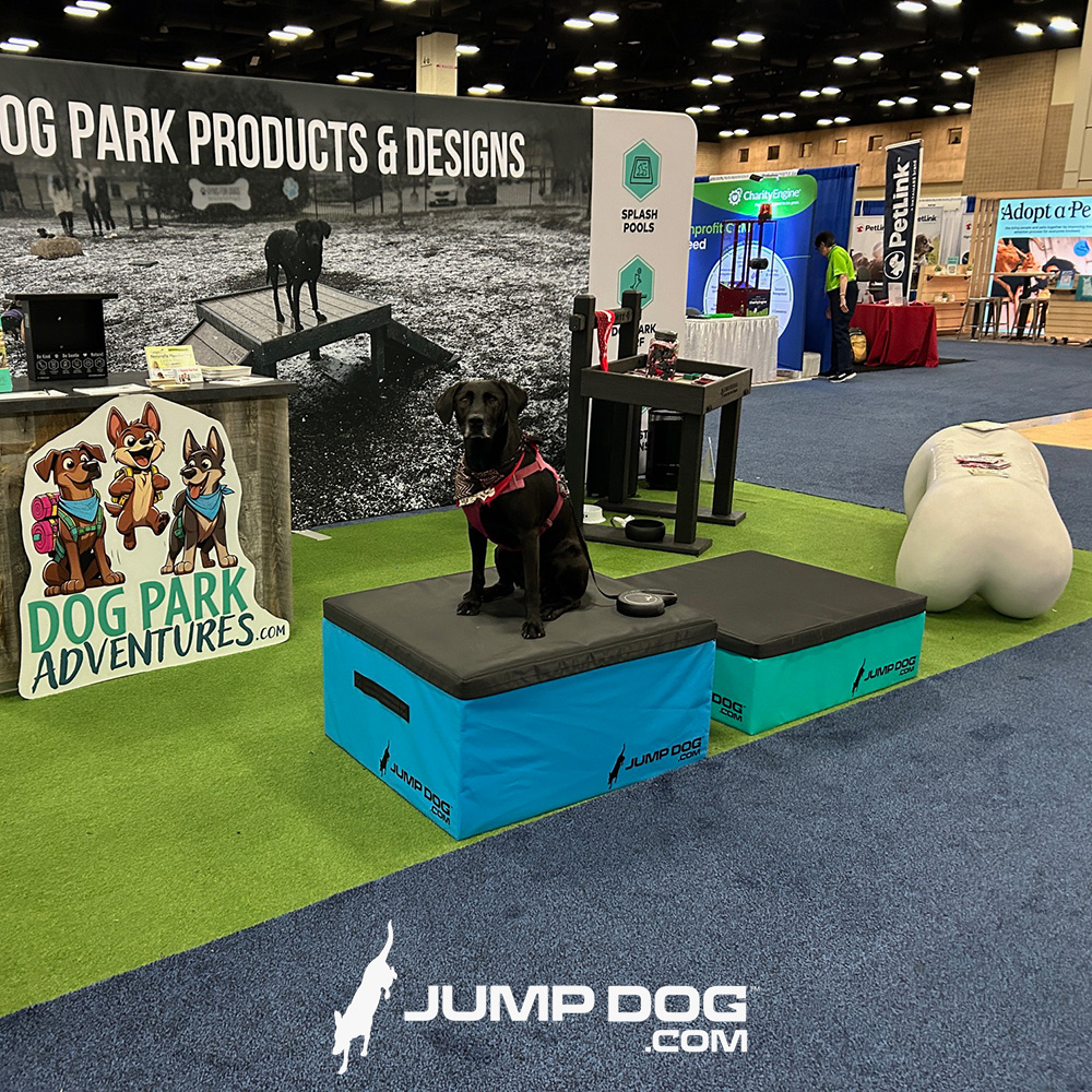 Jump Dog - Jump Training Agility Box Set - Image 33