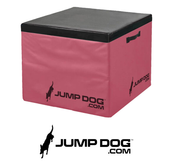 Jump Dog™ - BOUNCE Jump Training Agility 24" Cushion Platform
