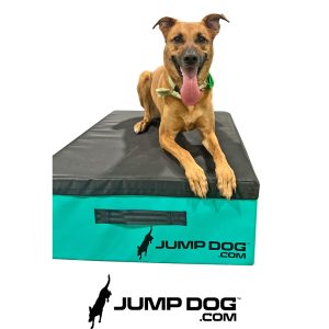 Jump Dog - Jump Training Agility Box - 12" H