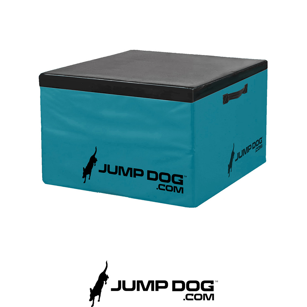 Jump Dog - Jump Training Agility Box Set - Image 28