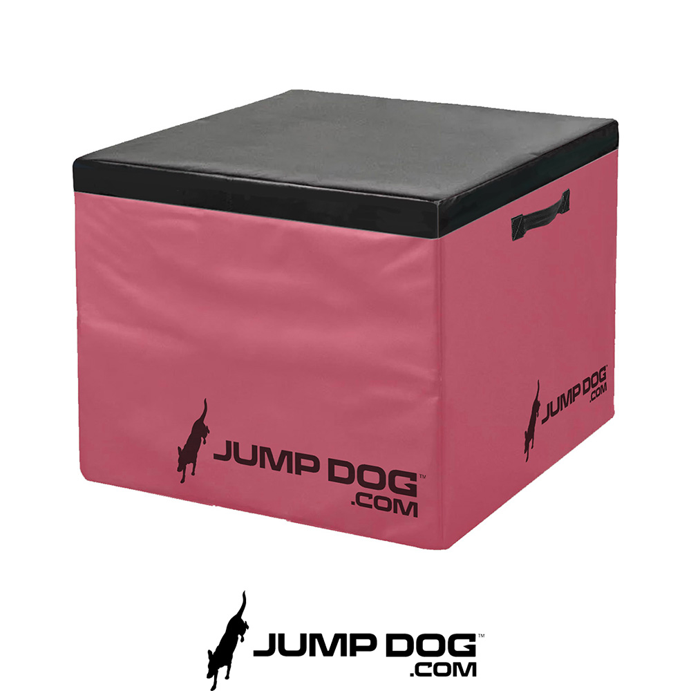 Jump Dog - Jump Training Agility Box Set - Image 27