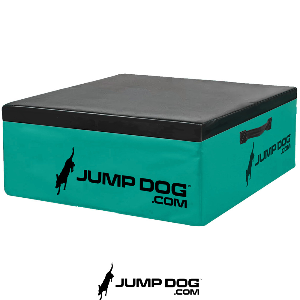Jump Dog - Jump Training Agility Box Set - Image 25