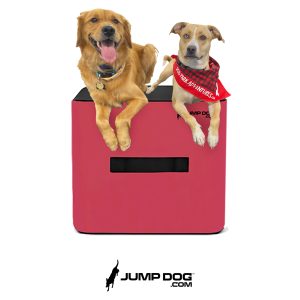 Jump Dog - Jump Training Agility Box - 24" H