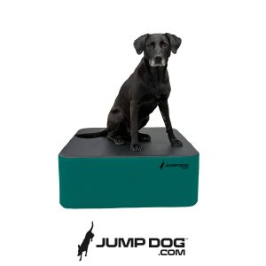 Jump Dog - Jump Training Agility Box - 12" H