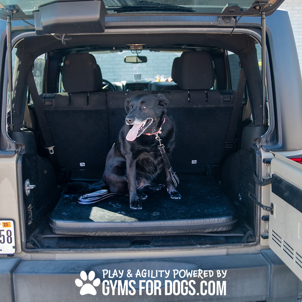 Jump Dog - SUV Pet Comfort Pad - Image 6