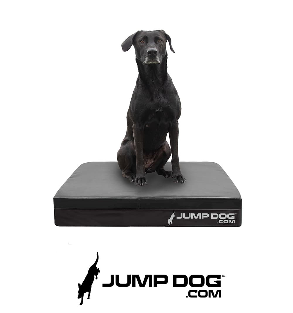 JumpDog-SUV-Comfort-Pad2 - Jump Dog JumpDog-SUV-Comfort-Pad2