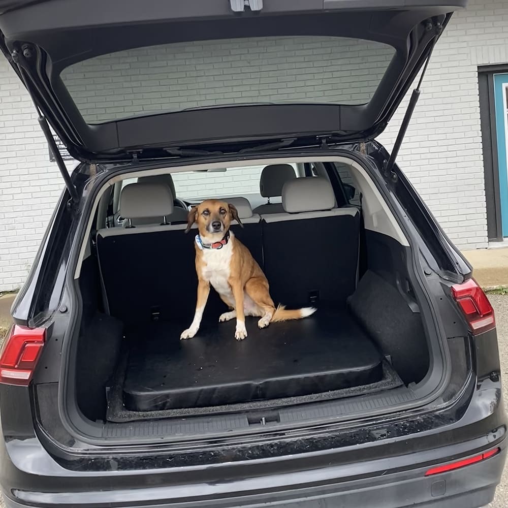 suv-pad1 - Jump Dog suv-pad1